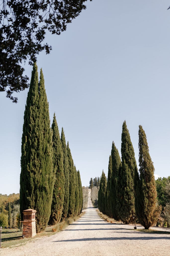 cypress-driveway-tuscany-wedding-venue.jpgLong cypress-lined driveway leading to Tenuta di Sticciano wedding venue near Certaldo, Tuscany